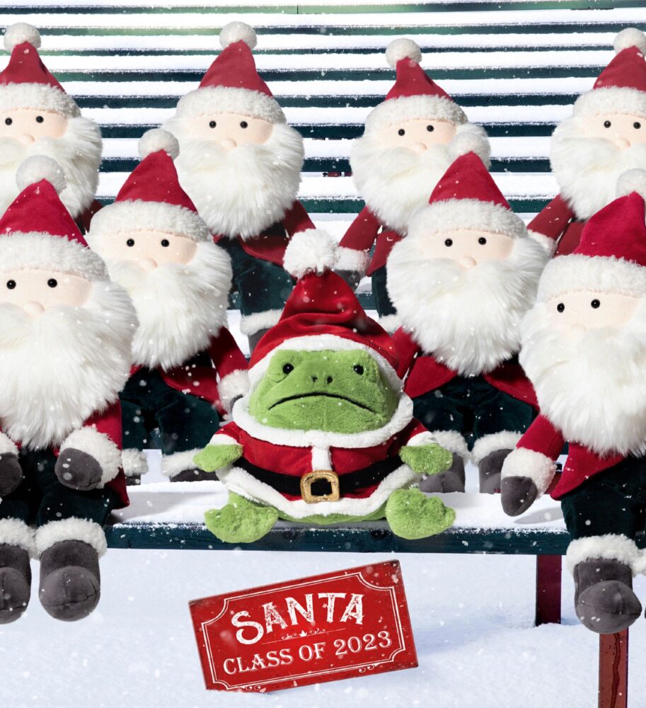 Jellycat Santa Ricky Rain Frog - 16x12cm - Image 4