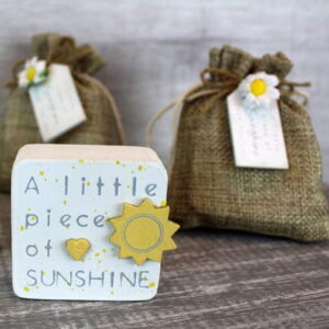 'A Little Piece of Sunshine' Sunshine Hug in a Daisy Bag - Langs