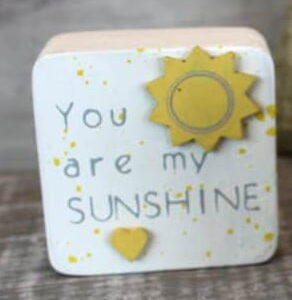 'You Are My Sunshine' Sunshine Hug in a Daisy Bag - Langs