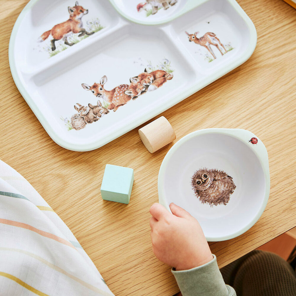 Wrendale Little Wren Baby Collection - Woodland Melamine Divided Plate & Bowl Set - Wrendale Designs - Image 6