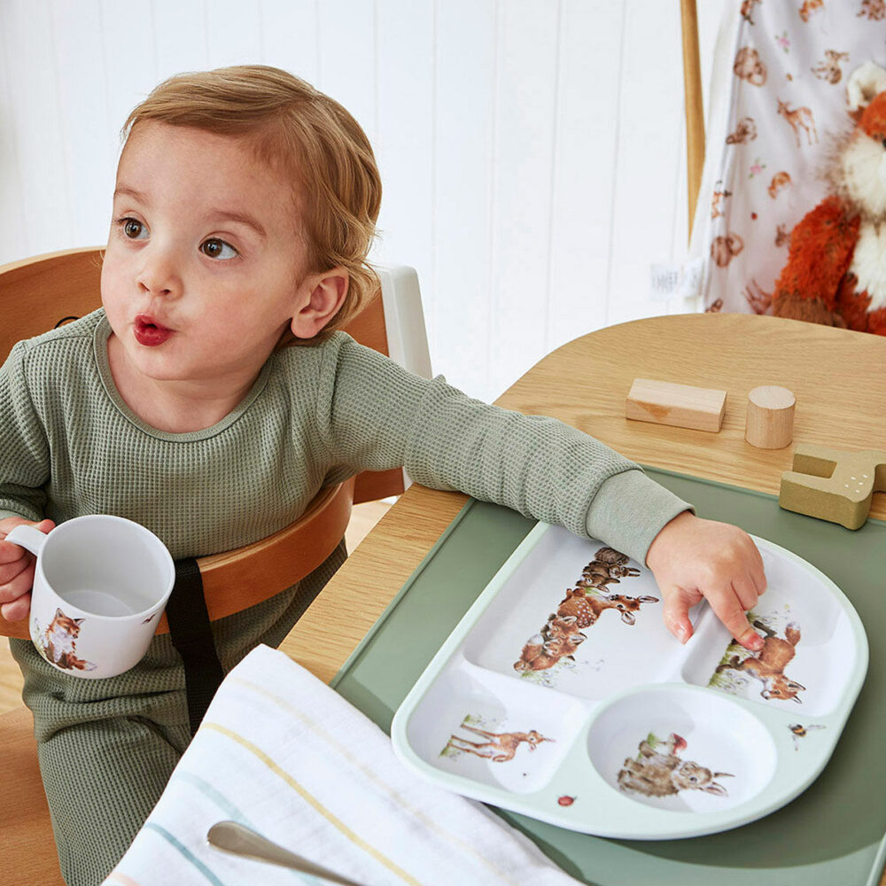 Wrendale Little Wren Baby Collection - Woodland Melamine Divided Plate & Bowl Set - Wrendale Designs - Image 8