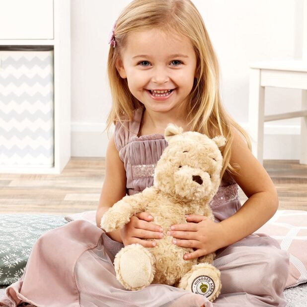 Classic Winnie The Pooh Hundred Acre Woods Teddy Bear - Image 5