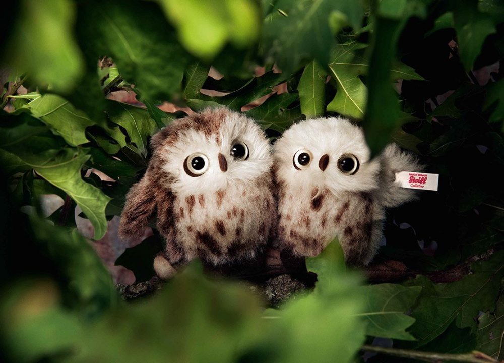 Steiff Owl Set - Limited Edition EAN 006609 - Image 2