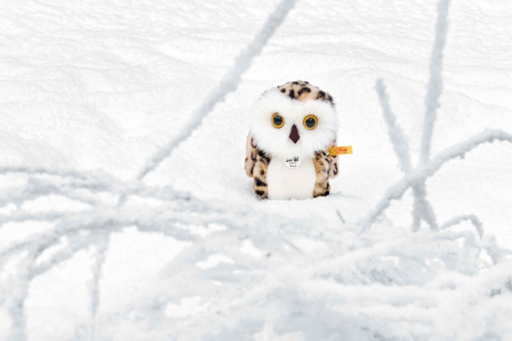 Steiff Wittie Owl - EAN 045608 - Image 2