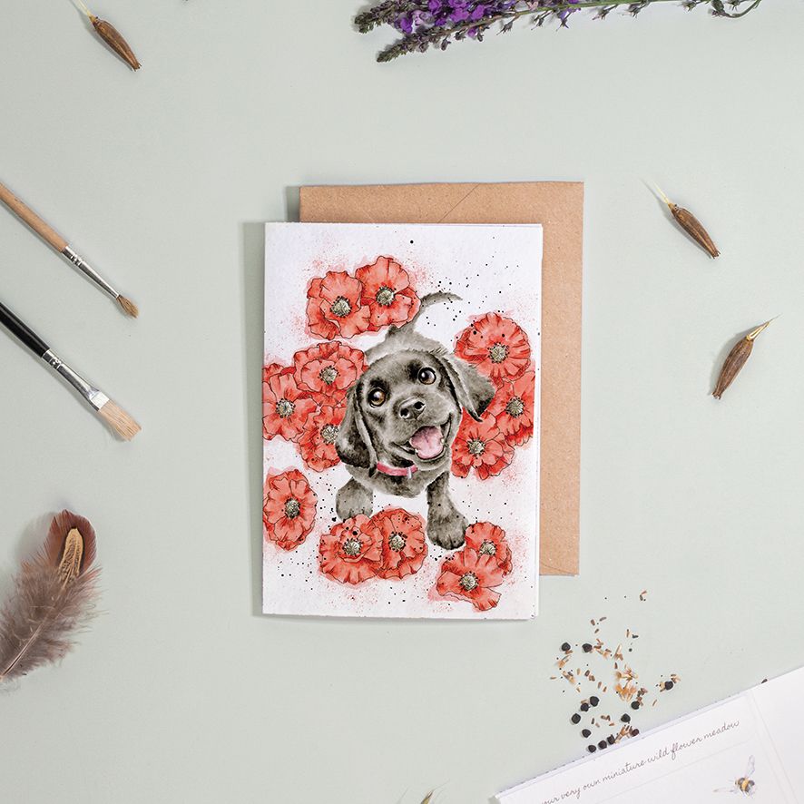 ‘Poppy Love' Labrador Dog Seed Card - Wrendale Designs - Image 2