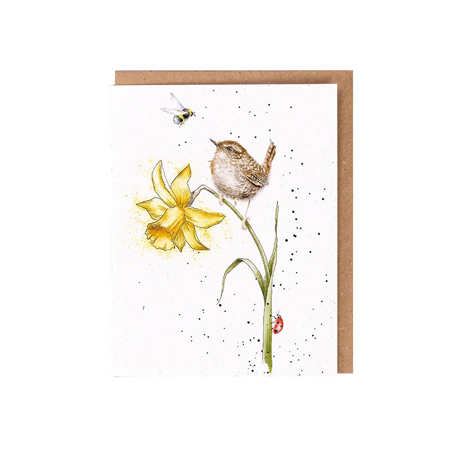 ‘The Birds and the Bees‘ Wren Seed Card - Wrendale Designs