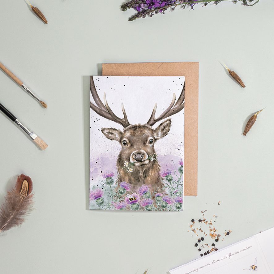 ‘Thistle Make You Smile' Stag Seed Card - Wrendale Designs - Image 2