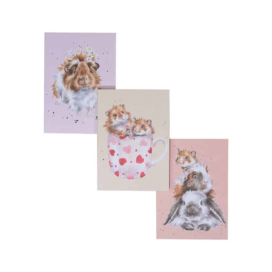 ‘Whiskers and Paws’ Animal Set of 3 Notebooks - Wrendale Designs - Image 2