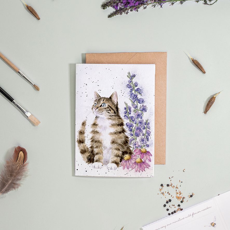 ‘Whiskers and Wildflowers' Cat Seed Card - Wrendale Designs - Image 2