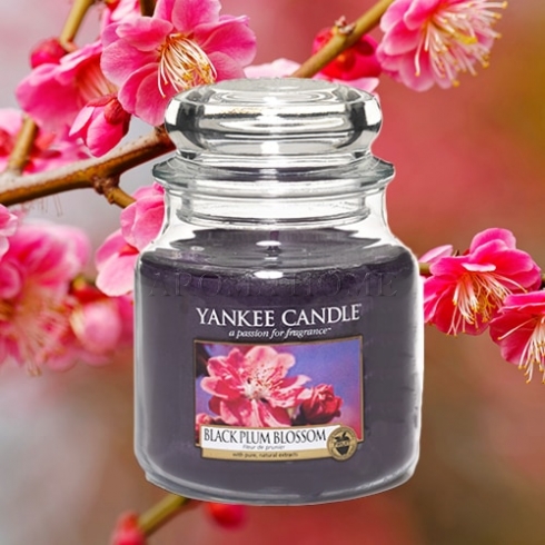 Black Plum Blossom - Yankee Candle - Medium Jar - Image 2