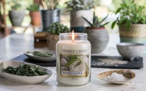 Sea Salt and Sage - Yankee Candle - Large Jar - Image 2